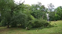 In den Morgenstunden wurde im Landkreis Nordhausen mit den Aufräumarbeiten begonnen Bild: In den Morgenstunden wurde im Landkreis Nordhausen mit den Aufräumarbeiten begonnen