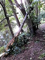 Bild: Unwettersch&auml;den in Nordhausen