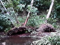 Bild: Unwettersch&auml;den in Nordhausen