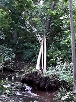 Bild: Unwettersch&auml;den in Nordhausen