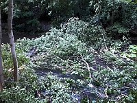 Bild: Unwettersch&auml;den in Nordhausen