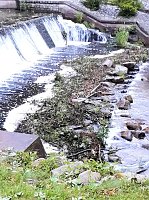 Bild: Unwettersch&auml;den in Nordhausen