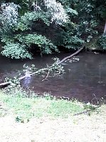 Bild: Unwettersch&auml;den in Nordhausen