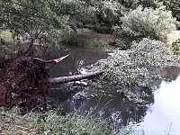 Bild: Unwettersch&auml;den in Nordhausen