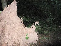 Bild: Unwettersch&auml;den in Nordhausen