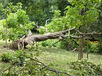 Bild: Unwettersch&auml;den in Nordhausen