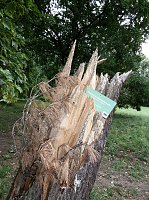 Bild: Unwettersch&auml;den in Nordhausen