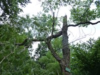 Bild: Unwettersch&auml;den in Nordhausen