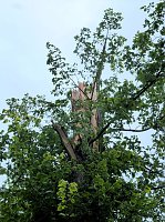 Bild: Unwettersch&auml;den in Nordhausen