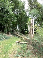 Bild: Unwettersch&auml;den in Nordhausen
