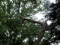 Bild: Unwettersch&auml;den in Nordhausen