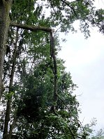 Bild: Unwettersch&auml;den in Nordhausen