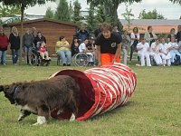 Teamdogs zu Besuch Bild: Teamdogs zu Besuch