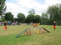 Teamdogs zu Besuch Bild: Teamdogs zu Besuch