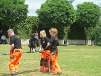 Teamdogs zu Besuch Bild: Teamdogs zu Besuch