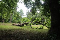 Im Park Hohenrode wurde heute das 10jährige Jubiläum des Fördervereins gefeiert Bild: Im Park Hohenrode wurde heute das 10jährige Jubiläum des Fördervereins gefeiert