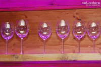 Party im Jugendclubhaus Bild: Party im Jugendclubhaus