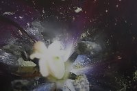 Bild: Ausstellungser&ouml;ffnung in der Nordh&auml;user Kreissparkasse