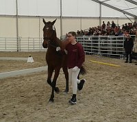 Bilder aus dem Vereinsleben Bild: Bilder aus dem Vereinsleben