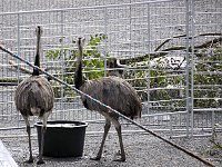 Zirkus in Nordhausen Bild: Zirkus in Nordhausen