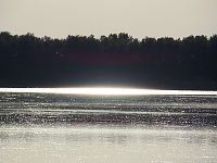 Bild: Impressionen am Muldenstausee