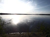 Bild: Impressionen am Muldenstausee