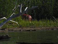 Bild: Impressionen am Muldenstausee