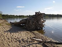 Bild: Impressionen am Muldenstausee