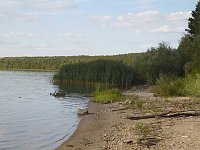 Bild: Impressionen am Muldenstausee