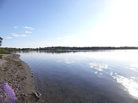 Bild: Impressionen am Muldenstausee