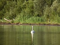 Bild: Impressionen am Muldenstausee