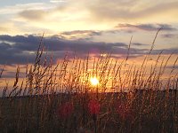 Bild: Impressionen am Muldenstausee