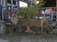 Bild: 21. Altstadtfest