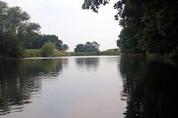 Bild: Entdeckungen an der Mulde