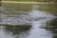 Bild: Entdeckungen an der Mulde