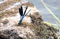 Bild: Entdeckungen an der Mulde