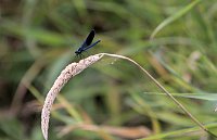 Bild: Entdeckungen an der Mulde