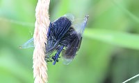 Bild: Entdeckungen an der Mulde