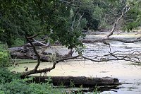 Bild: Entdeckungen an der Mulde