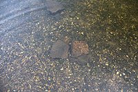 Bild: Entdeckungen an der Mulde