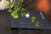 Bild: Hochzeit auf der Burgruine Hohnstein