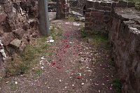Bild: Hochzeit auf der Burgruine Hohnstein