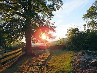 Bild: Zu Besuch auf der Burgruine Hohnstein
