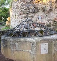Bild: Zu Besuch auf der Burgruine Hohnstein