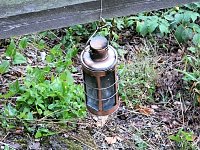 Bild: Zu Besuch auf der Burgruine Hohnstein