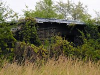 Bild: Unwirkliche Orte: Lokschuppen bei Bitterfeld
