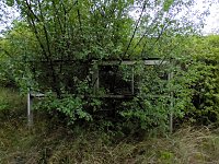 Bild: Unwirkliche Orte: Lokschuppen bei Bitterfeld