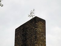 Bild: Unwirkliche Orte: Lokschuppen bei Bitterfeld
