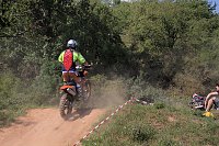 Bild: Motocross in Hamma