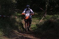 Bild: Motocross in Hamma